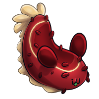 Kith seabun stage2 red 200px